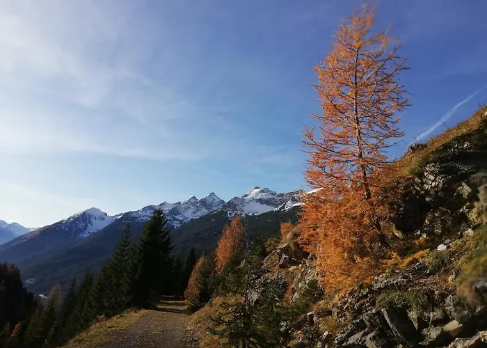 Eddy 's Panorama Apartment *